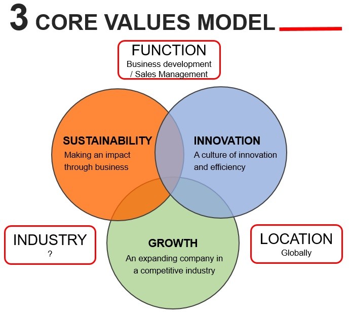 3 core values model